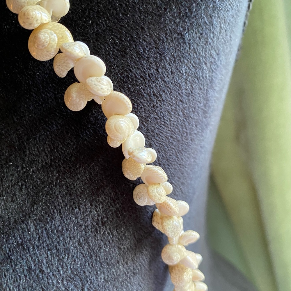 Shell necklace - Picture 4 of 6
